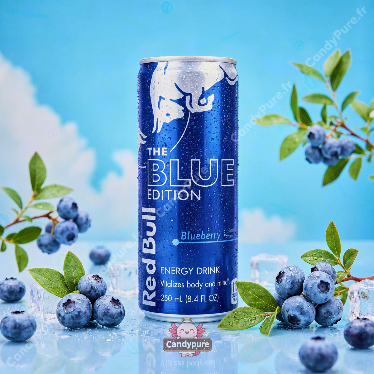 Red Bull - Blue Edition Myrtille - 250ml