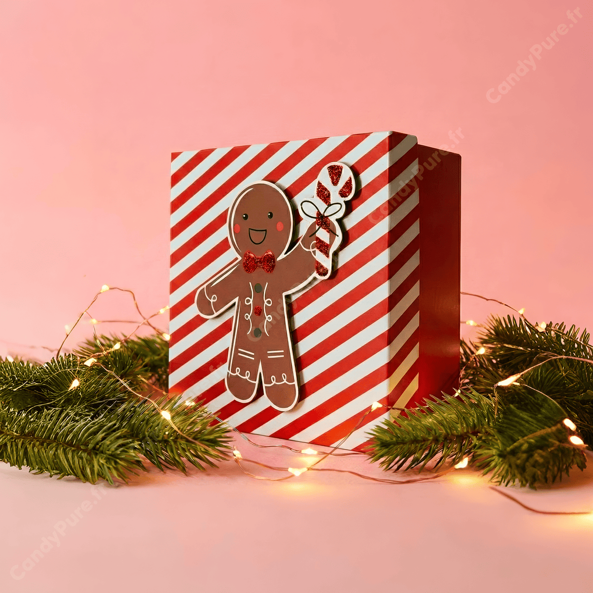 La Boîte de Noël (Garnie de Bonbons)
