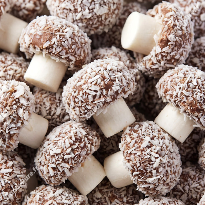Champignons Flocons de Coco (x10)