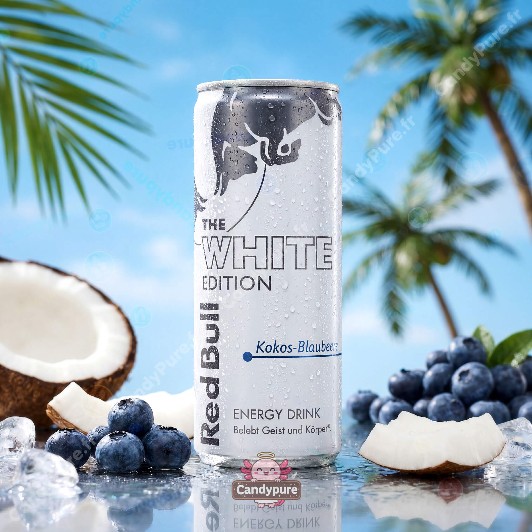 Red Bull - Édition Blanche Noix de Coco/Myrtille – 250ml