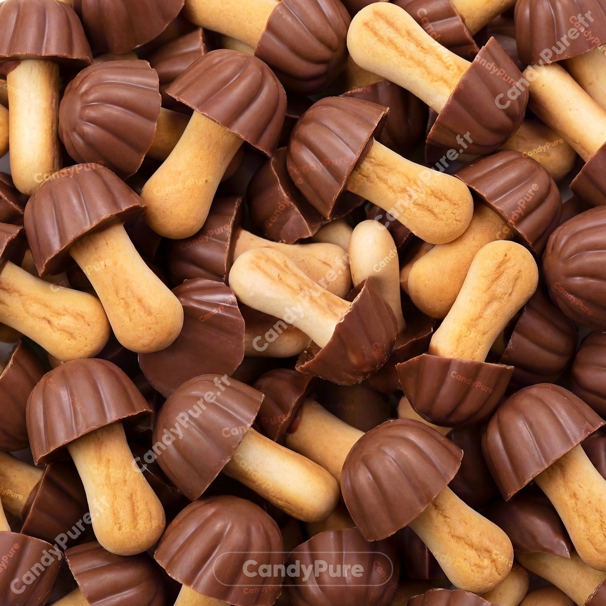 Champignons Chocolat (x10) - Lozano