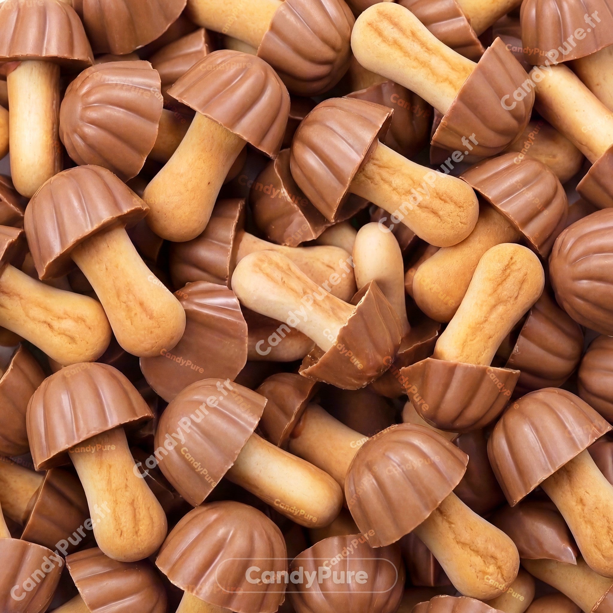 Champignons Chocolat Caramel (x10) - Lozano