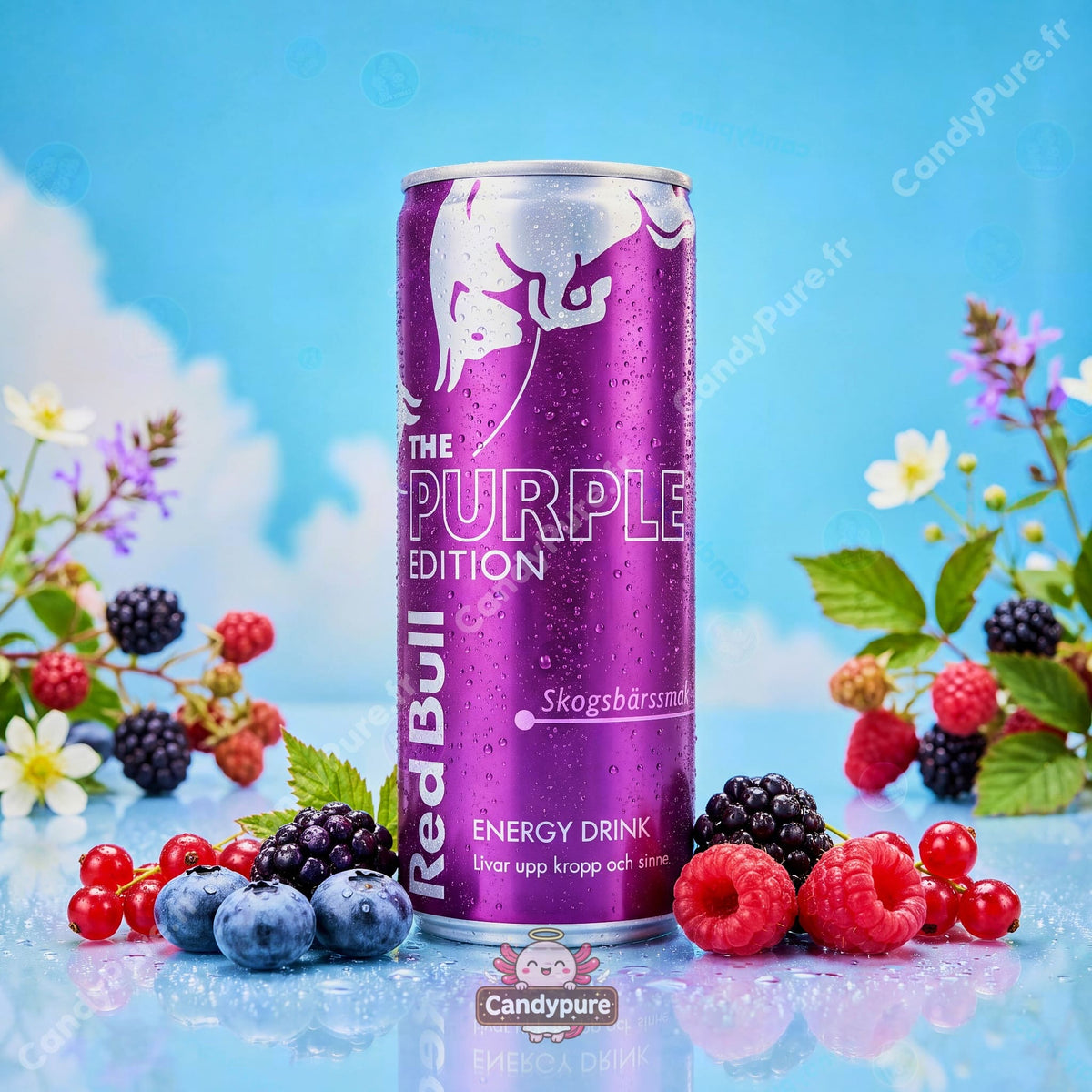 Red Bull - Purple Edition Fruits des Bois - 250ml